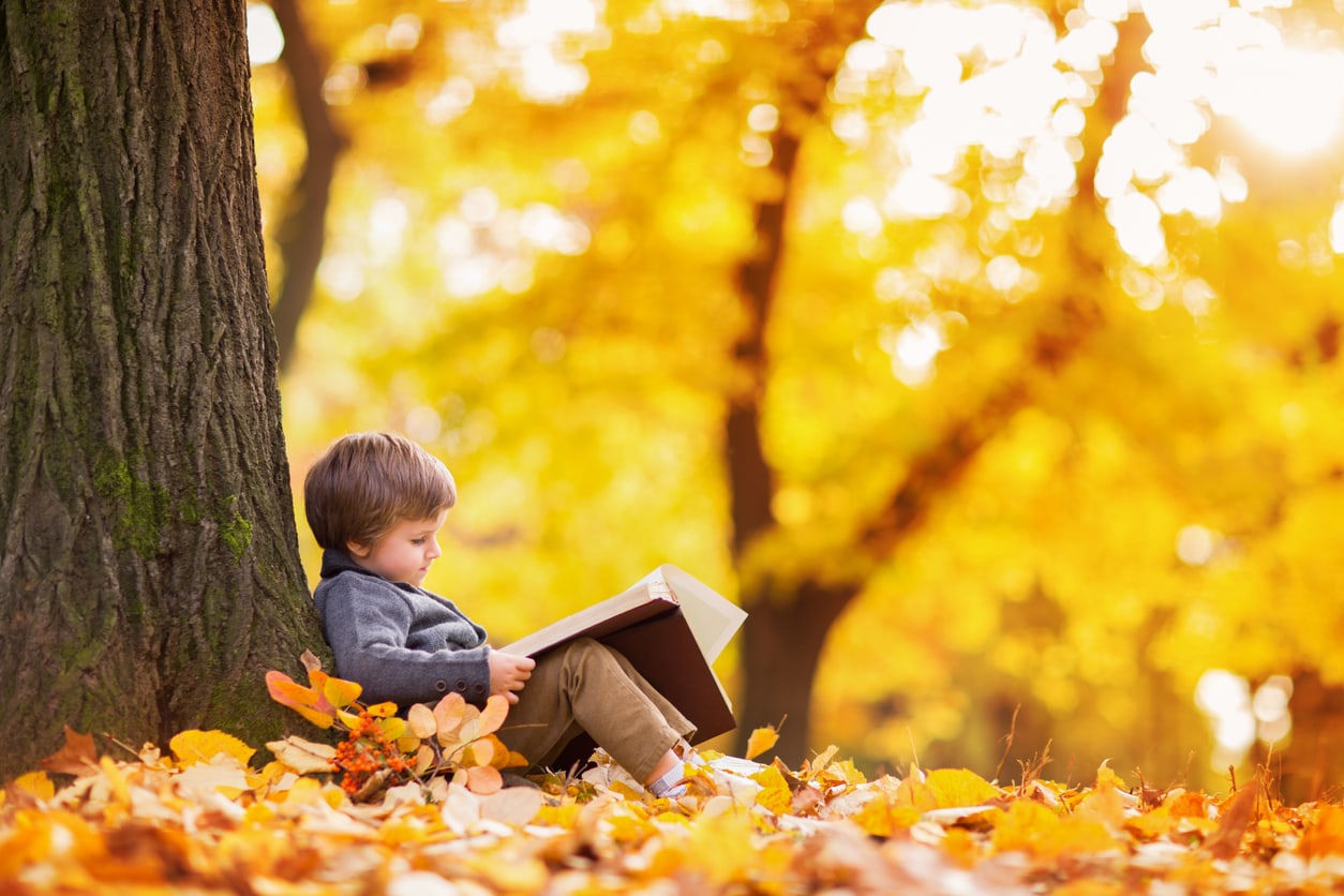 Little child is reading a book in an autumn yellow forest.