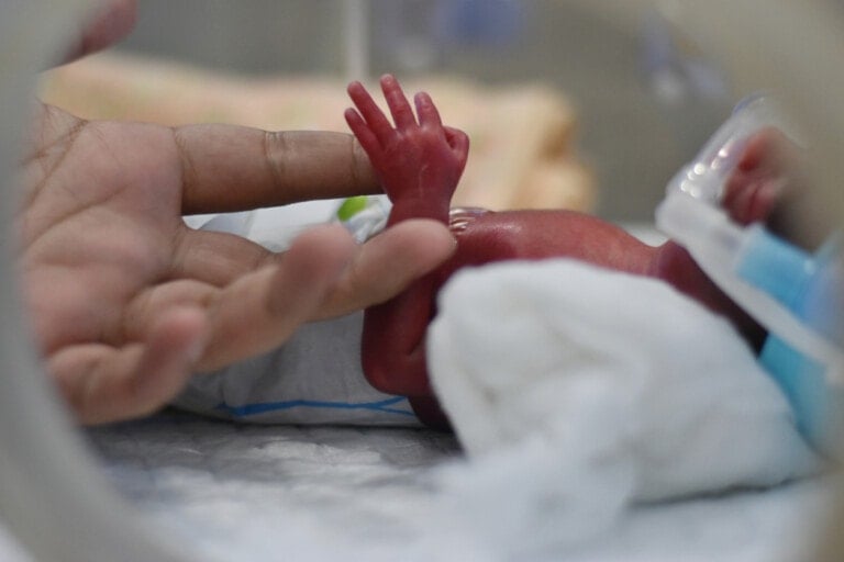 Newborn premature baby treated in incubator. An adult hand is reaching to the baby's hand.