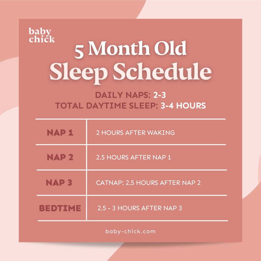 5 month old sleep schedule graphic