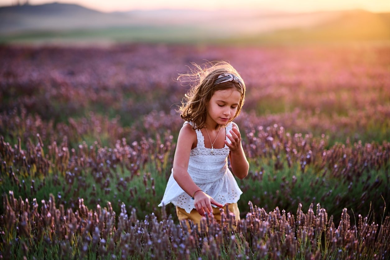 White Hispanic girl playing among lavender in the sunset sun. High quality photo