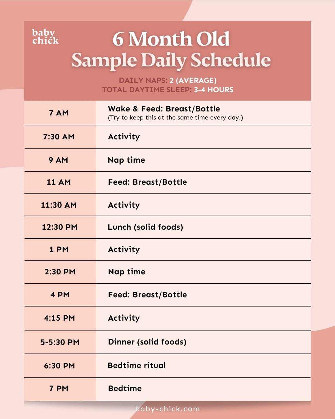 6 month old sample daily schedule graphic