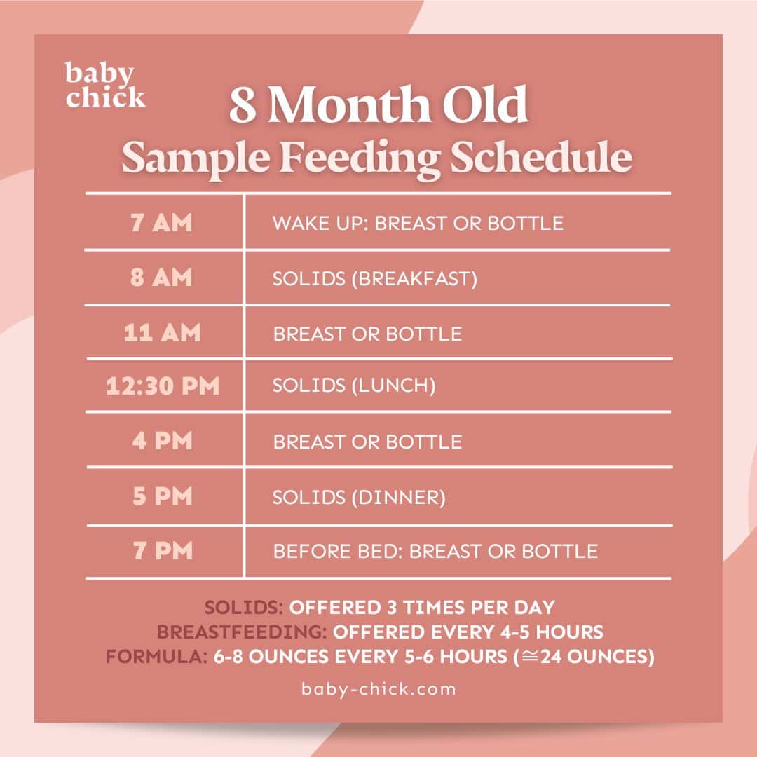 8 month old sample feeding schedule