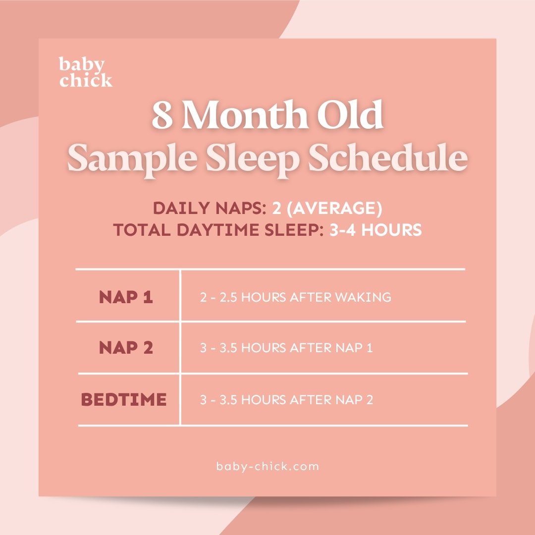 8 month old sample sleep schedule graphic