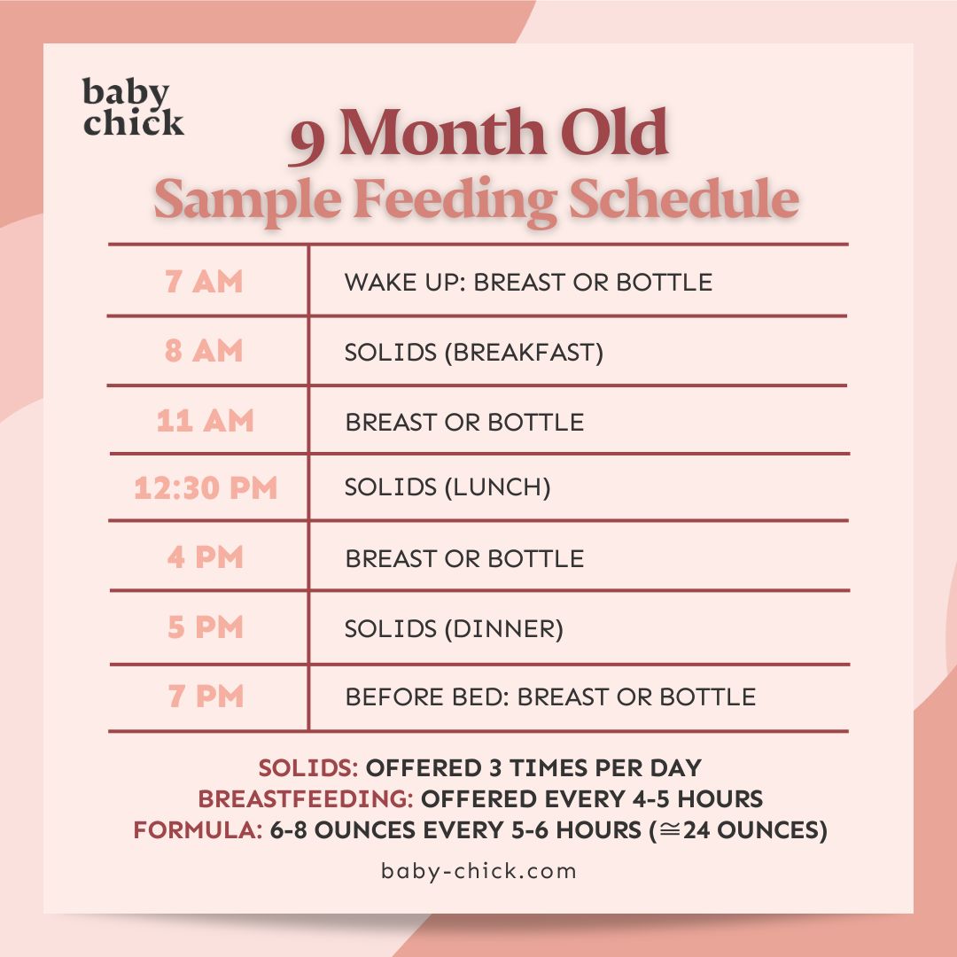 9 month old sample feeding schedule