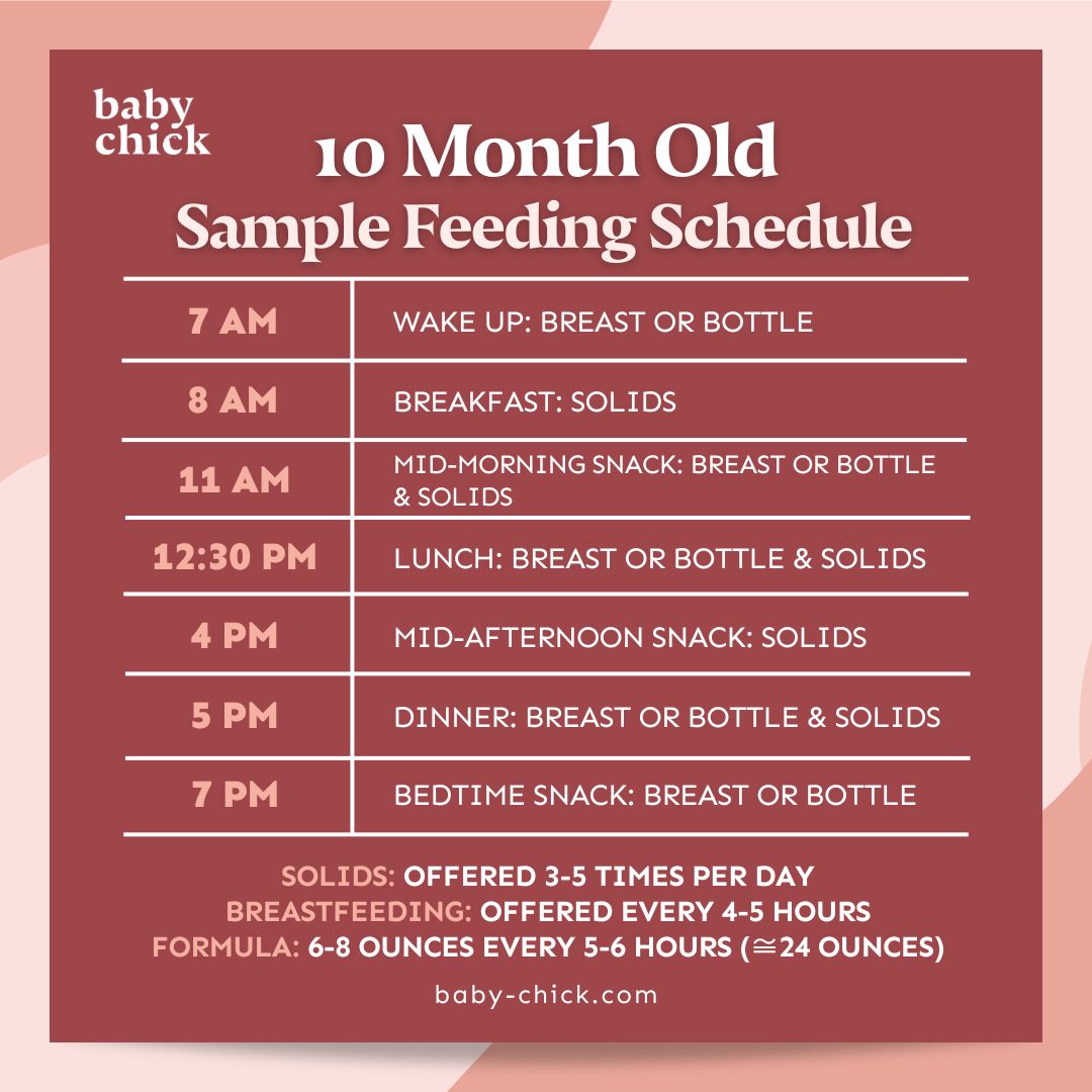 10 month old sample feeding schedule