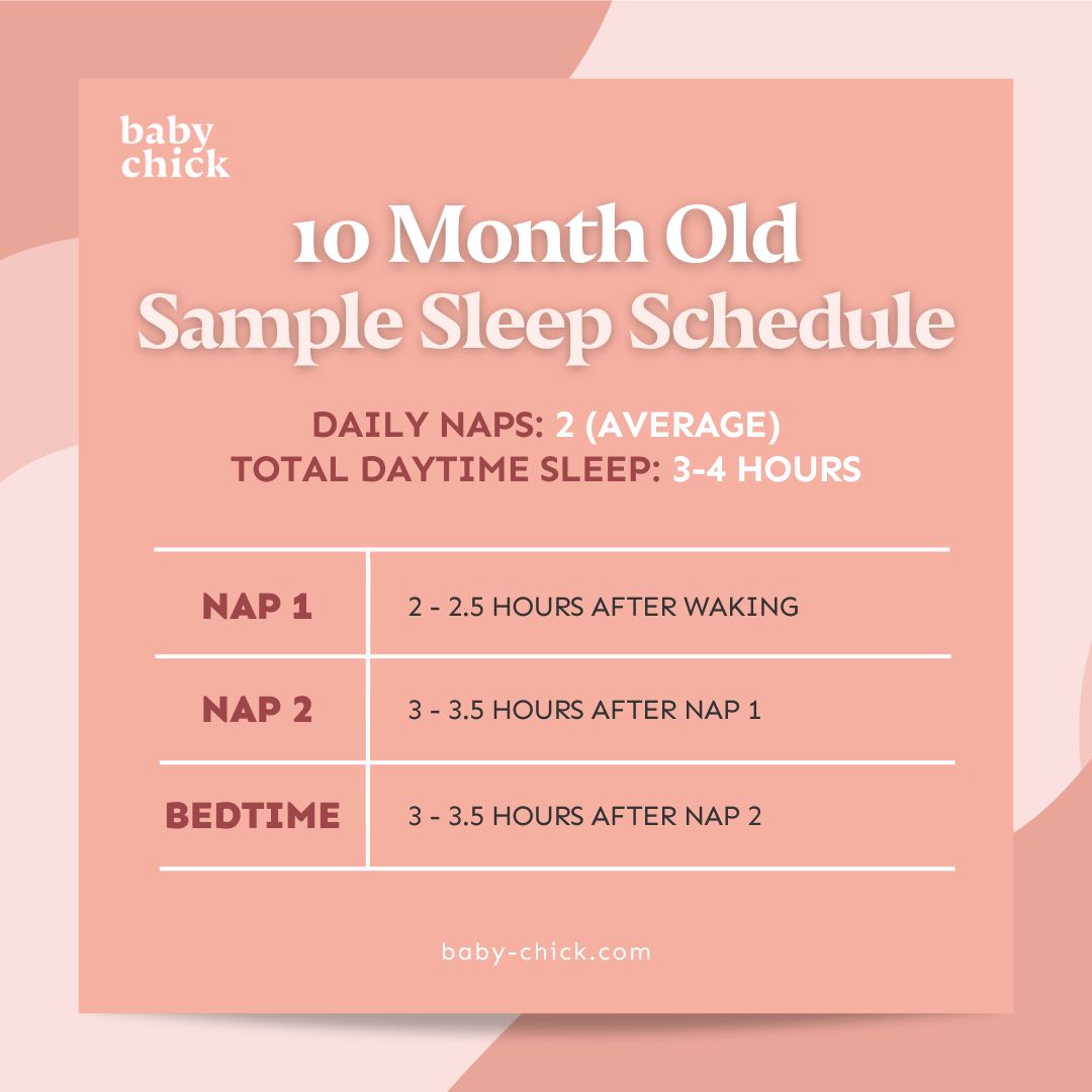 10 month old sample sleep schedule