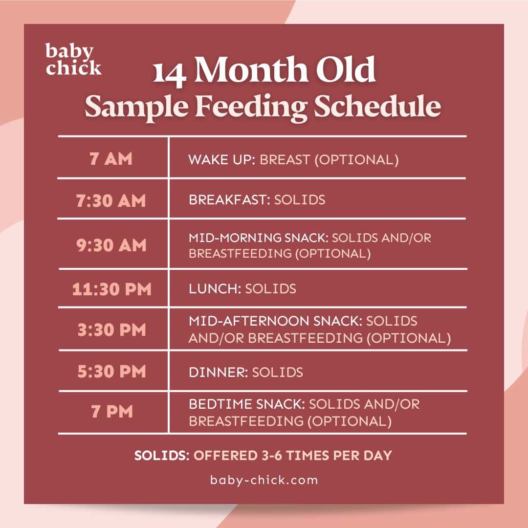 A baby feeding schedule graphic from Baby Chick, titled "14 Month Old Sample Feeding Schedule," lists feeding times: 7 AM Wake Up, 7:30 AM Breakfast, 9:30 AM Mid-Morning Snack, 11:30 AM Lunch, 3 PM Mid-Afternoon Snack, 5:30 PM Dinner, and 7 PM bedtime—perfectly tailored for your around
