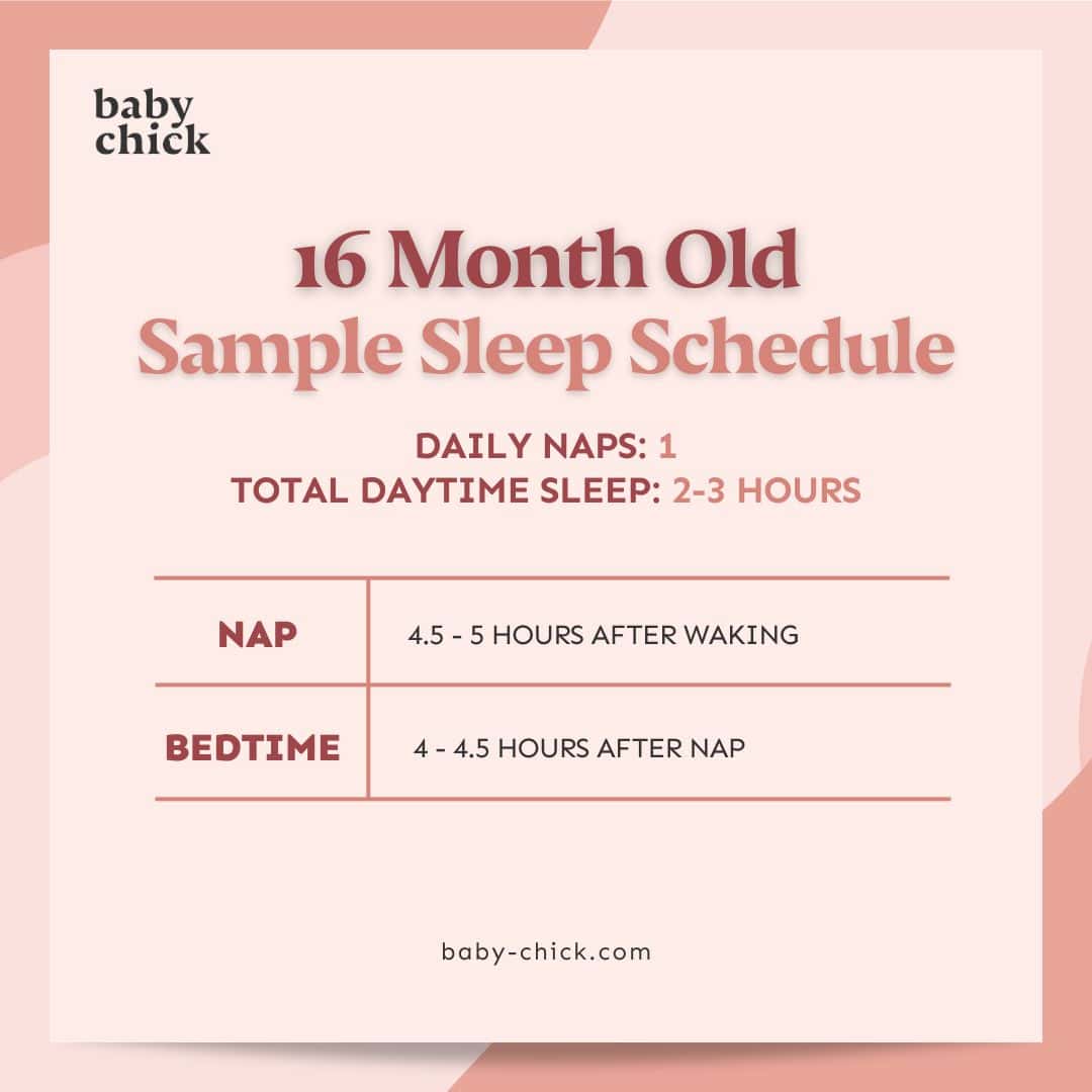 16MonthOld Baby Feeding, Sleep, and Milestones by Month Baby Chick