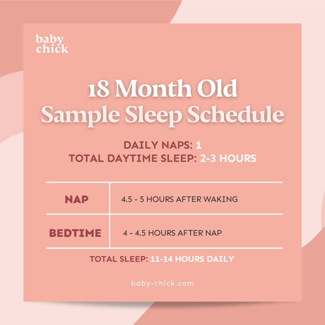 18-Month-Old Baby: Feeding, Sleep, and Milestones by Month - Baby Chick