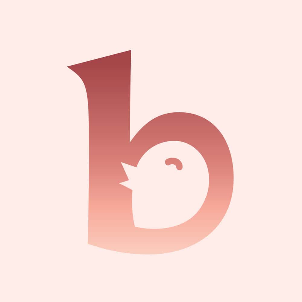 Baby Chick