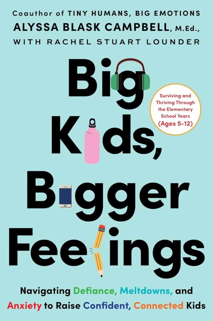 Big Kids, Bigger Feelings book cover