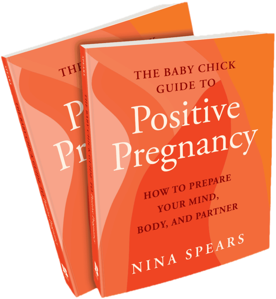 Positive Pregnancy Book by Nina Spears double books