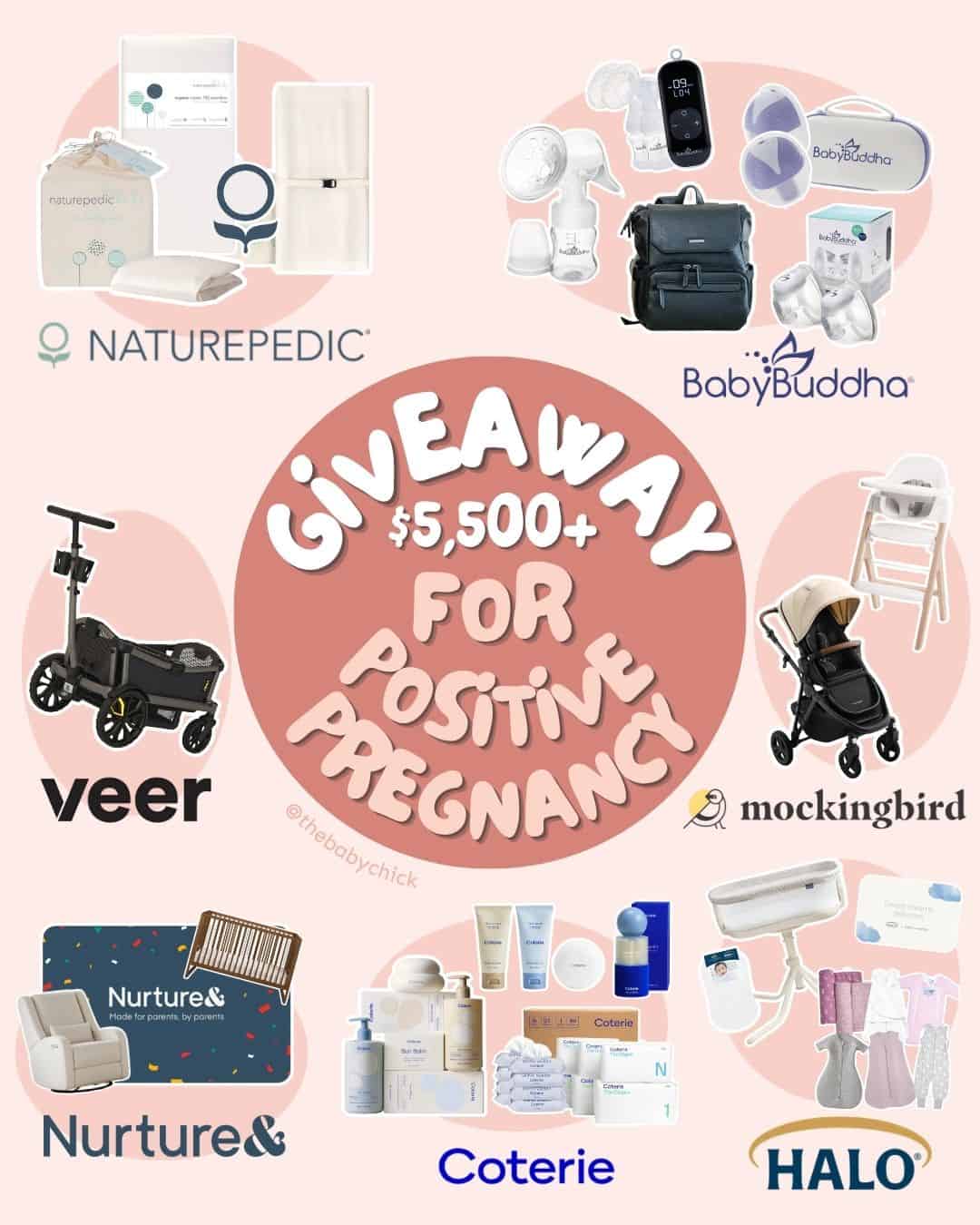 Win a $5,500 Baby Registry + Get Bonuses When You Pre-Order This Pregnancy Book